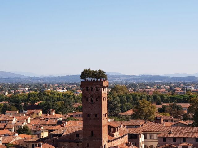 Torens in Lucca