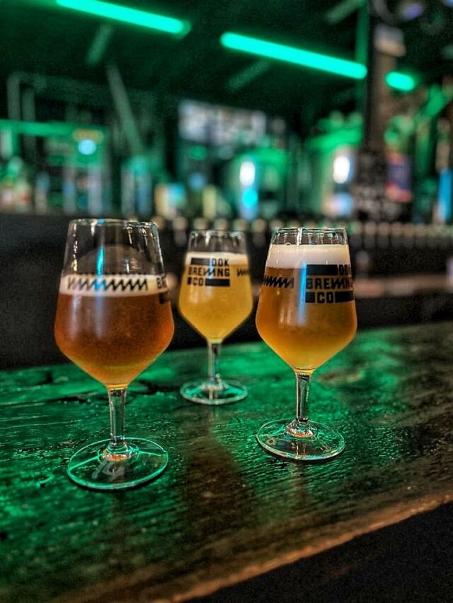 Dok Brewing Tasting