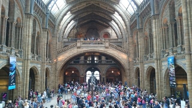 Natural Museum Of History
